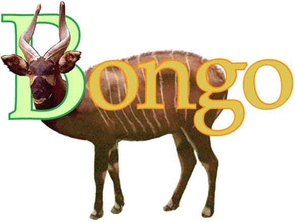 Welcome to Bongo
